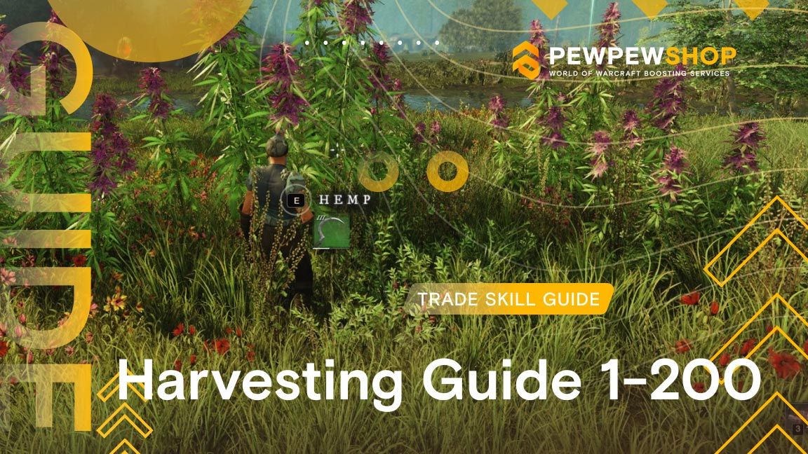 Project New World: COMPLETE Starter Guide (Levelling, Fruits